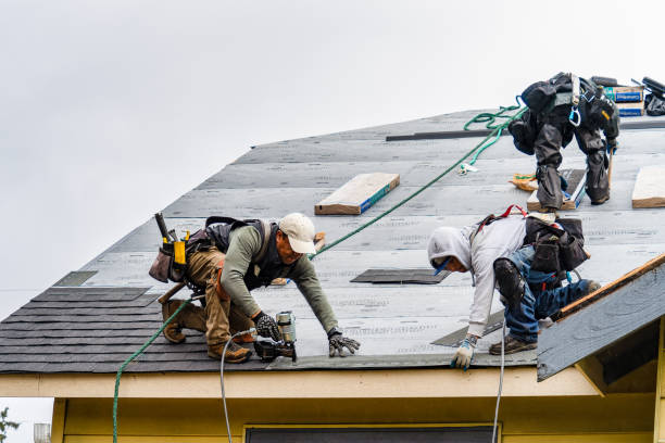 Professional Gutter Installation technician working in Williamstown, KY